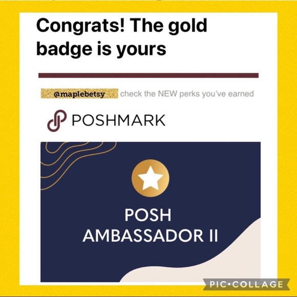 BOOKMARK MY CLOSET! Gold ⭐️ Ambassador/ Top Seller / Heart & Hustle Winner - Picture 4 of 16